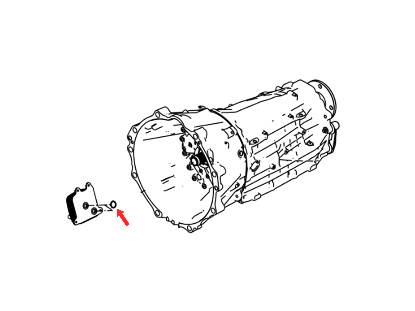 OEM '20+ Nissan Titan Transmission Oil Cooler O-Ring - 5.6L V8 
