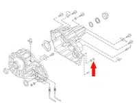 OEM Armada / QX56 / Titan Transfer Case Fill Plug - 4WD